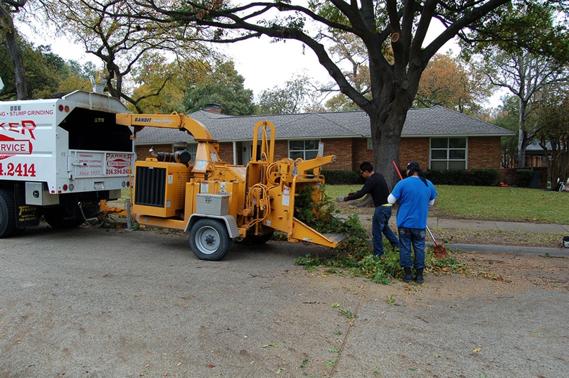 Parker Tree Service Equipment