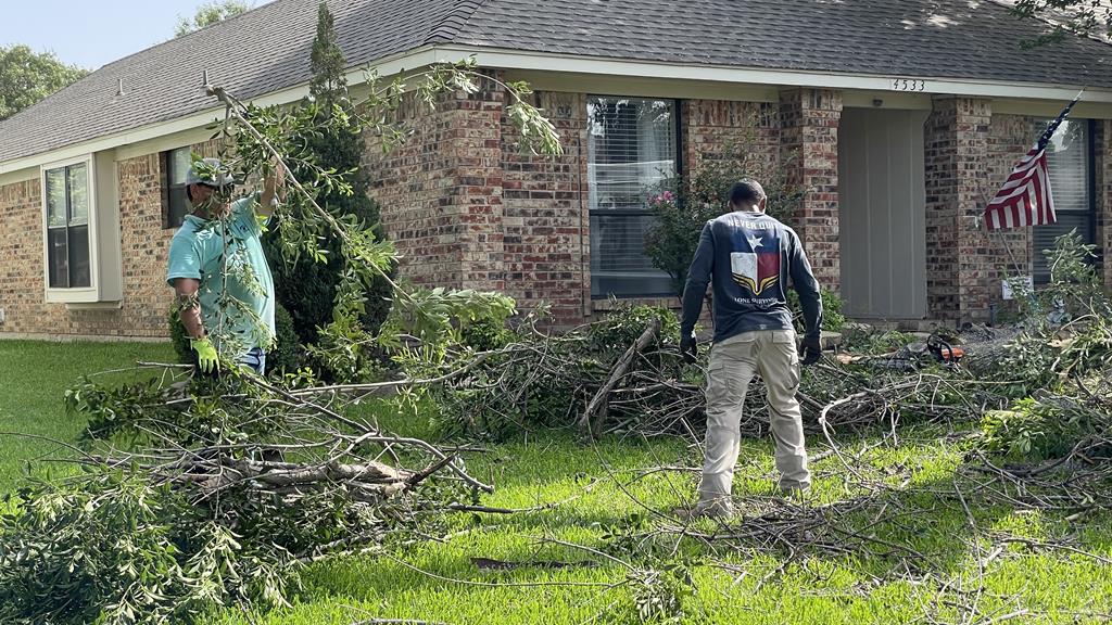 Tree Service in Addison TX