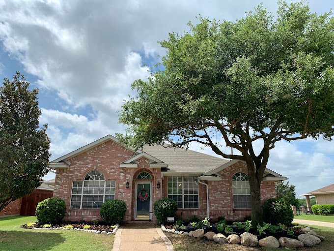 Tree Service in Allen, TX