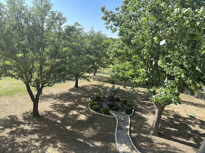 Tree Service in The Colony, TX