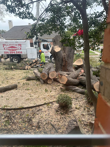 Tree Service in Parker, TX