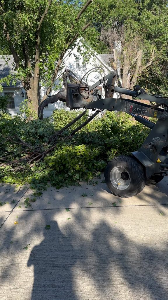 Tree Service in Carrollton, TX