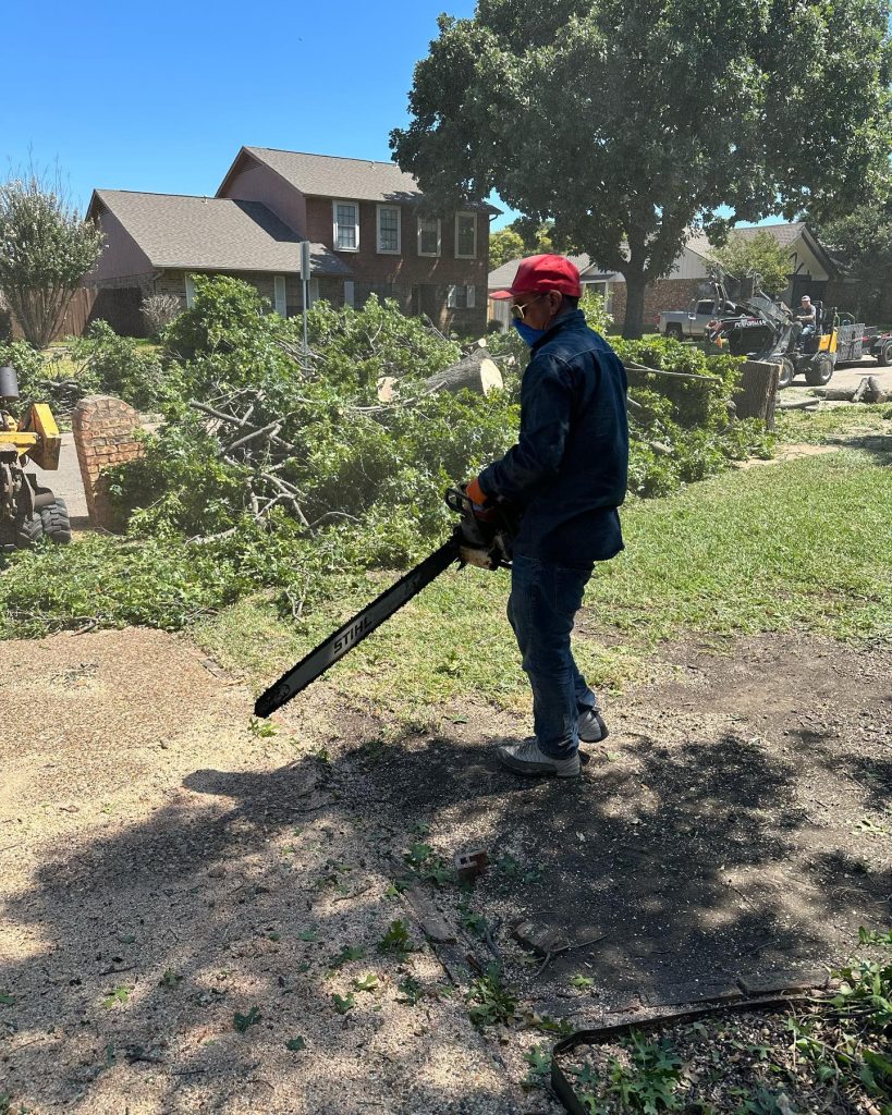 Tree Service in Parker, TX