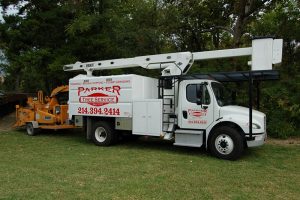 Tree Service in DFW