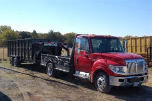 Tree Service in DFW