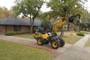 Tree Service in DFW