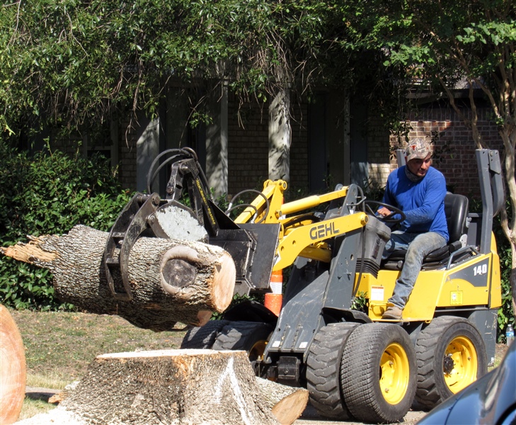 Stump Grinding & Removal in DFW