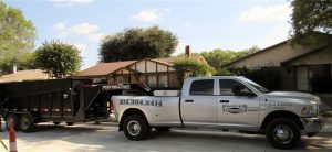 Tree Service in DFW