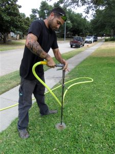 Deep Root Fertilization in DFW