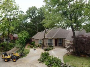 Tree Service in DFW