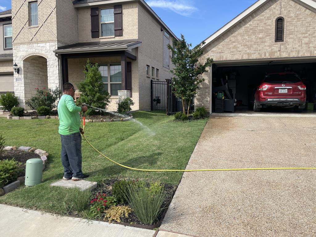 Tree Service in DFW