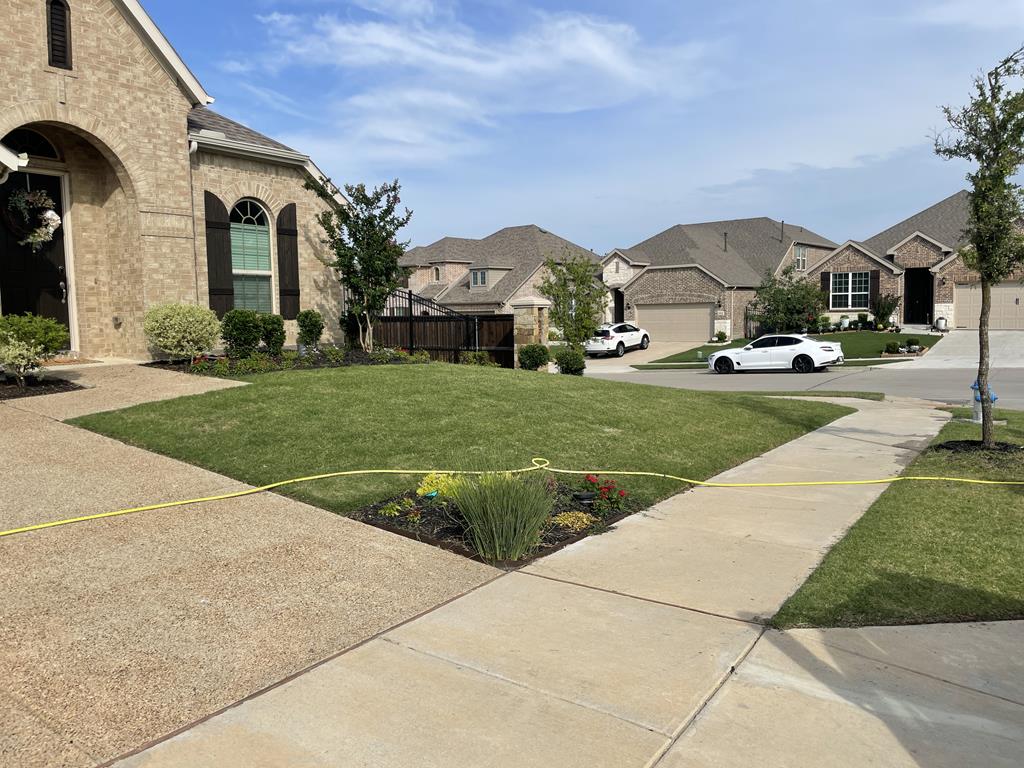 Deep Root Fertilization in DFW