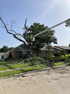 Emergency Tree Removal in DFW