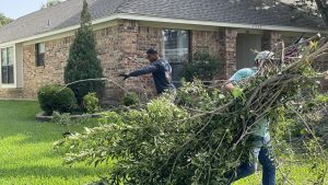 Tree Service in DFW