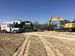 Tree Service in DFW