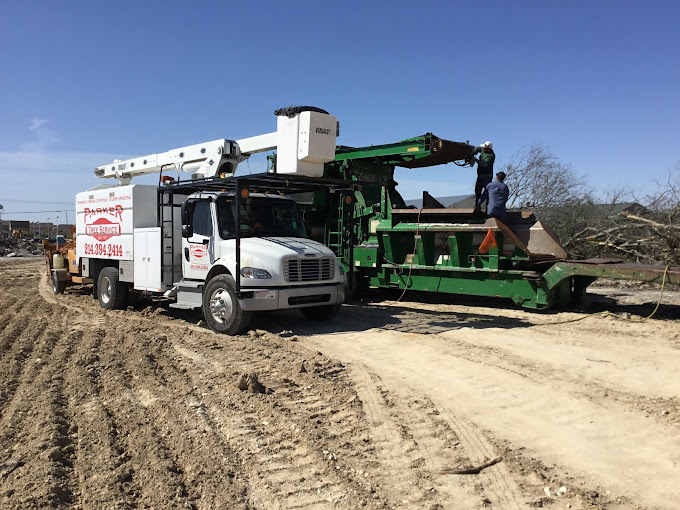 Tree Service in McKinney, TX